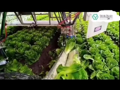 ระบบแขนหุ่นยนต์ Kuka สำหรับงานหนักสำหรับหุ่นยนต์ KR DELTA ในการจัดการบรรจุภัณฑ์ 7 Dof Arm